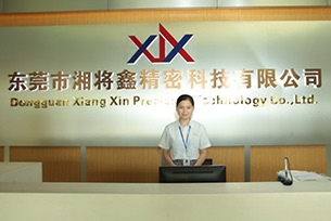 湘（xiāng）將鑫（xīn）精密科技