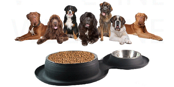 什麽膠水適合(hé)矽膠粘合不鏽鋼 什麽膠(jiāo)水適合矽膠粘合(hé)不(bú)鏽鋼