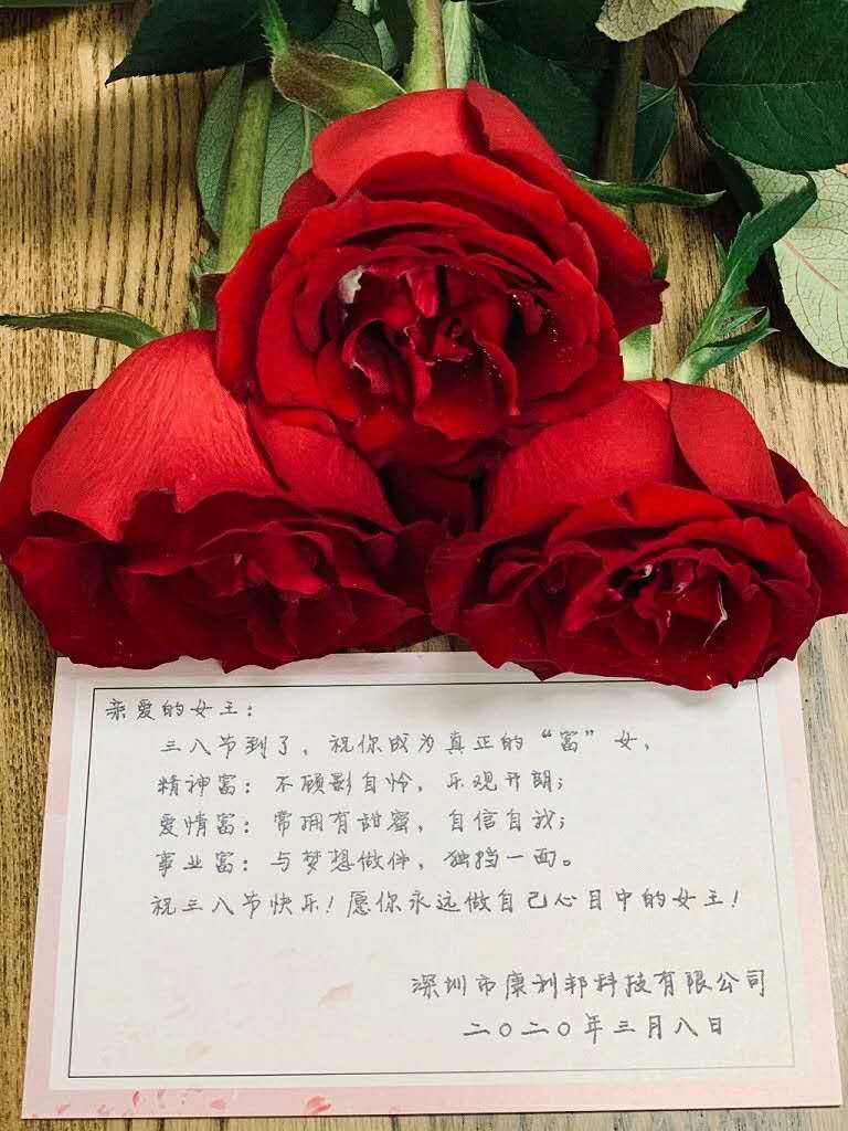 康利邦,女（nǚ）神節,矽膠膠水